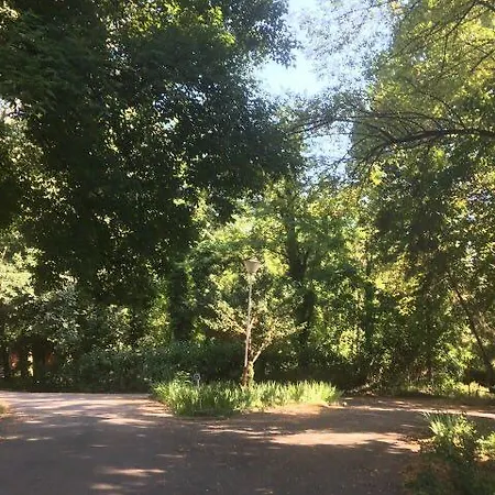 Camping Trakiya 4 Km. Campsite *